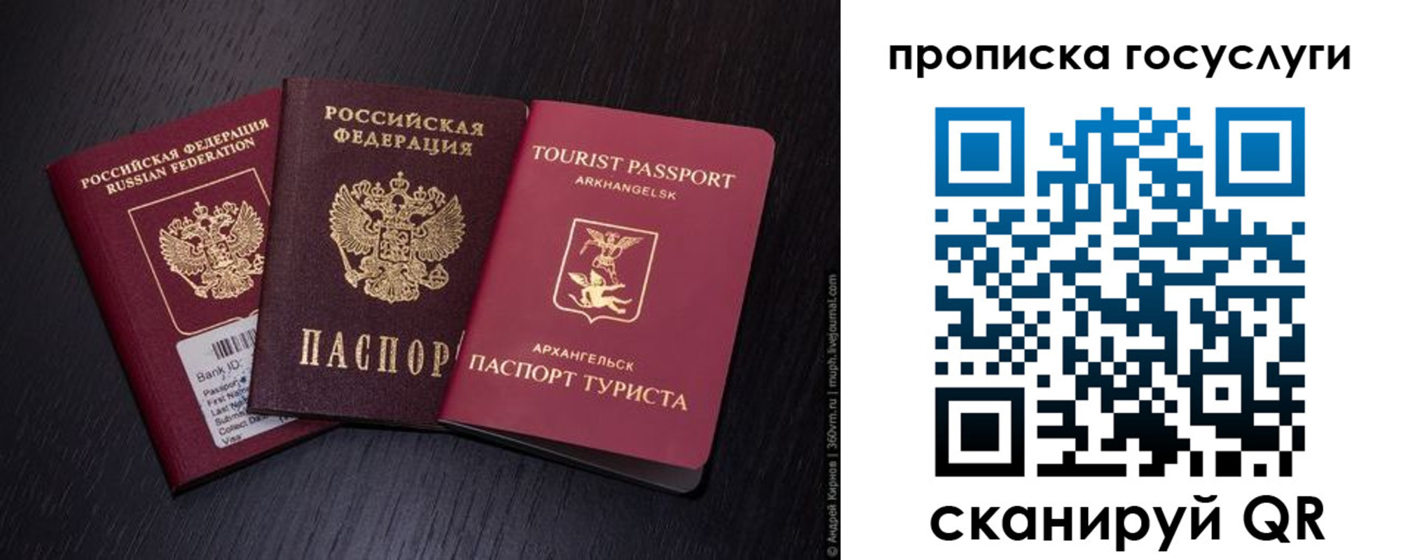 прописка 2025 в Зеленоградске